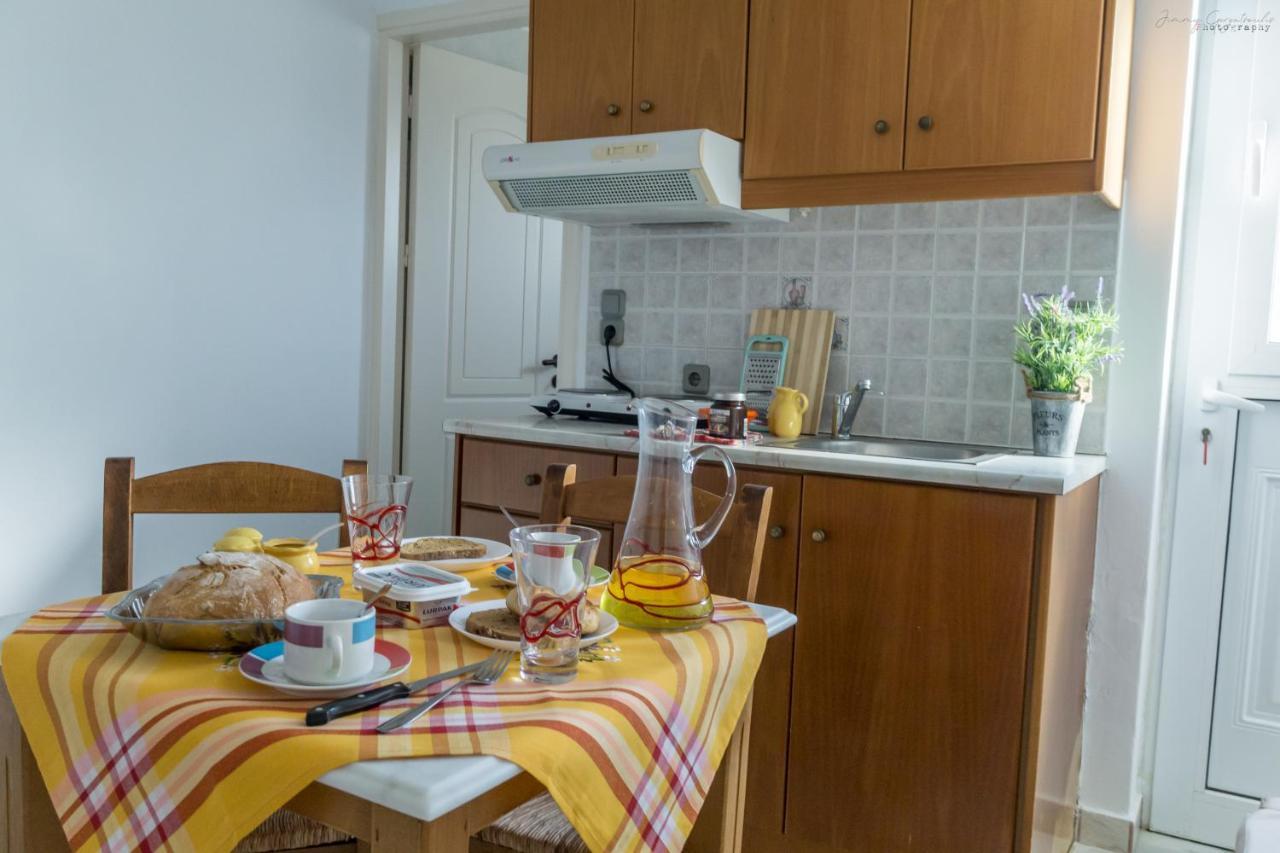 Sotirios Apartments カルパトス エクステリア 写真