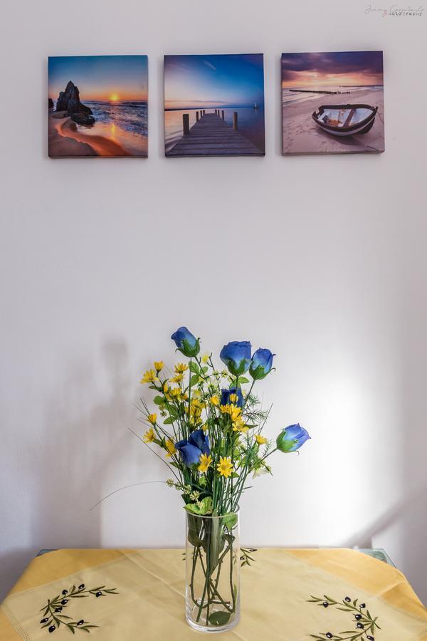 Sotirios Apartments カルパトス エクステリア 写真